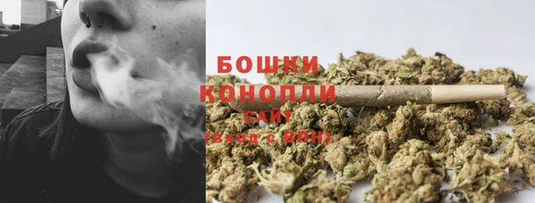 ПСИЛОЦИБИНОВЫЕ ГРИБЫ Наволоки
